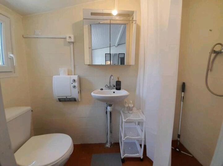 Toulousaine Avec Jardin Proche Centre Wifi Villa